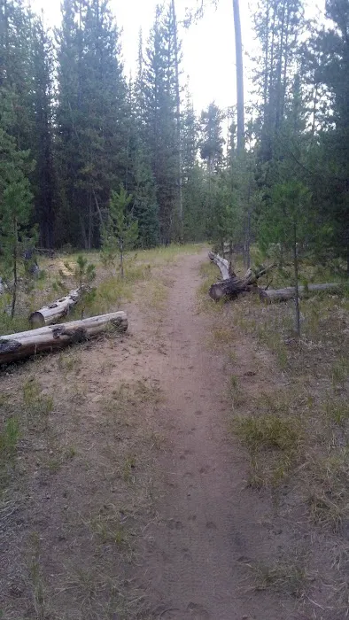 Little Lava Lake Campground and Boat Ramp Picture 6