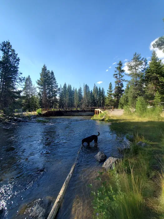 Cow Meadow Campground Picture 9