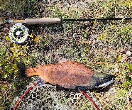 Cow Meadow Campground