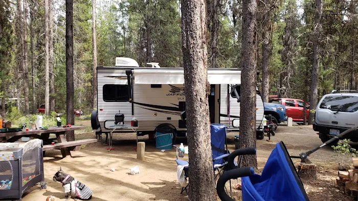 Crane Prairie Campground Picture 4