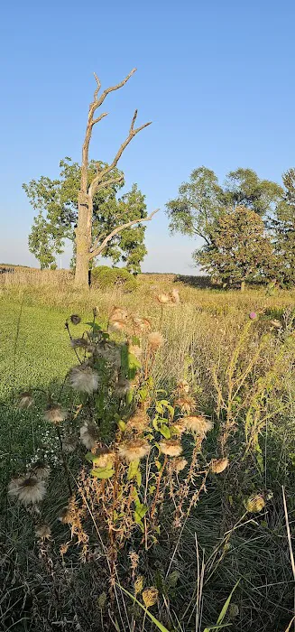 Sleepy Hollow RV Park Picture 1