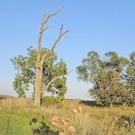 Sleepy Hollow RV Park