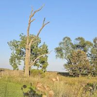 Sleepy Hollow RV Park ico