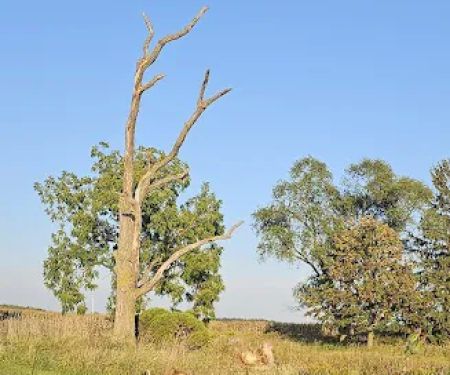 Sleepy Hollow RV Park