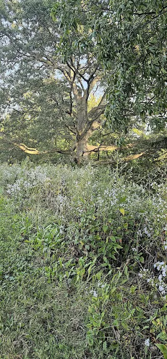 Sleepy Hollow RV Park Picture 3