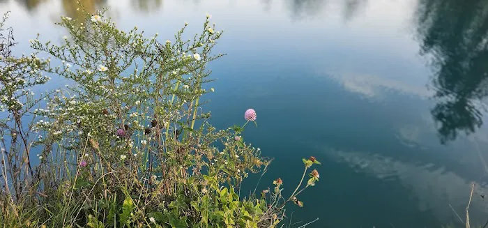 Sleepy Hollow RV Park Picture 2