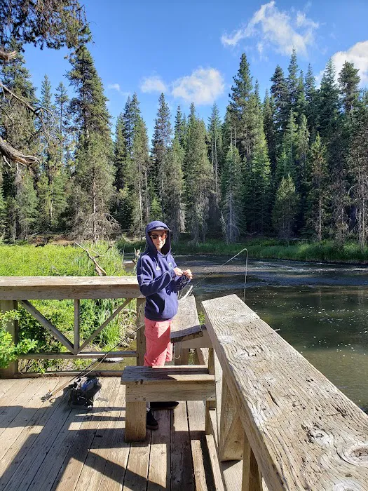 SHEEP BRIDGE Picture 10