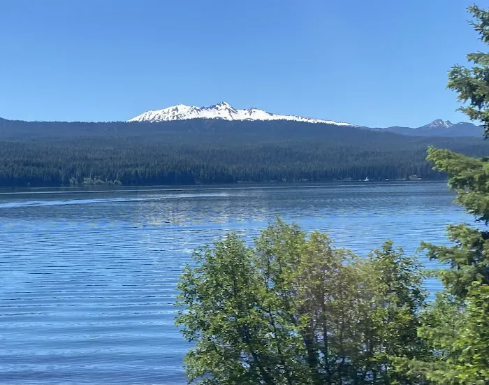 SHEEP BRIDGE Picture 7
