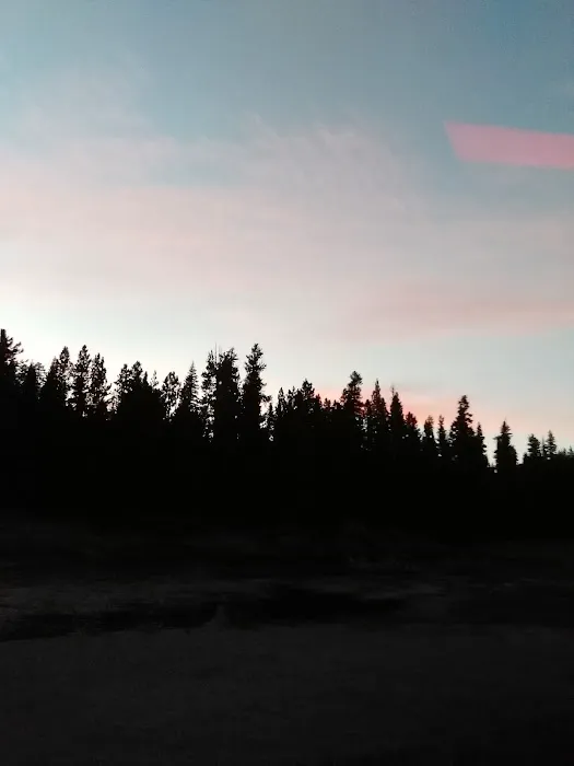 SHEEP BRIDGE Picture 9