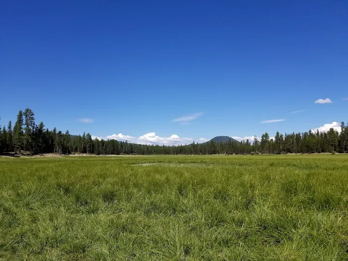 Sheep Bridge Campground Picture 4