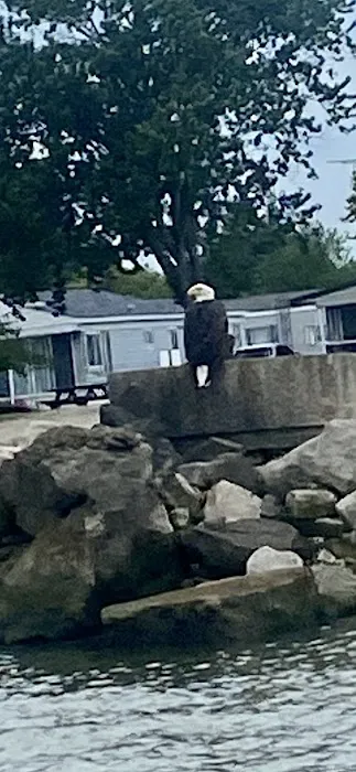 King Coach Estates Picture 2