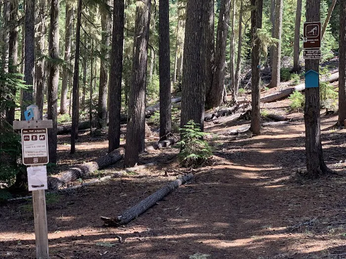 Gold Lake Campground Picture 8