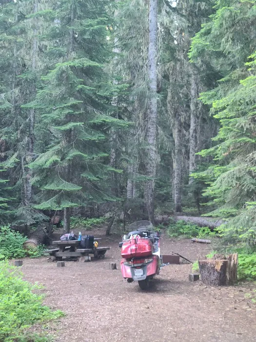 Gold Lake Campground Picture 9