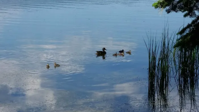 Gold Lake Campground Picture 4