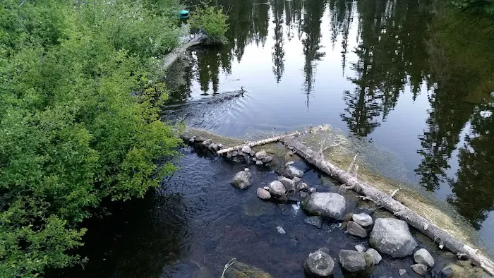 Gold Lake Campground Picture 2