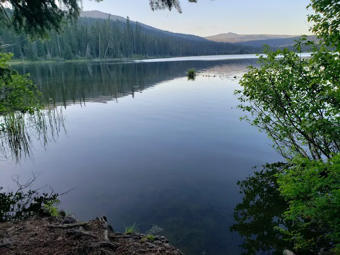 Gold Lake Campground Picture 3