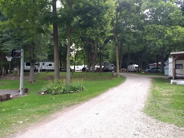 Shade Tree Country RV Park Picture 5