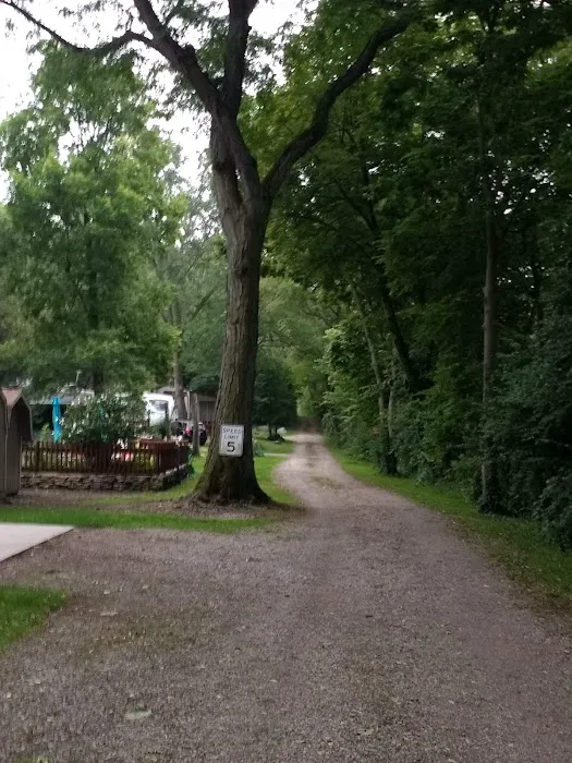 Shade Tree Country RV Park Picture 6