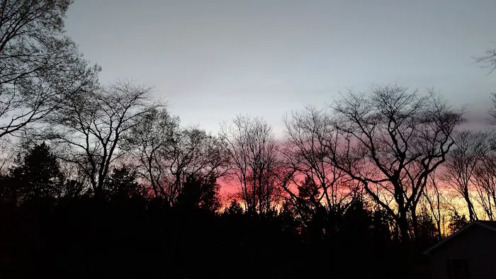 Shade Tree Country RV Park Picture 1