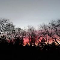 Shade Tree Country RV Park ico