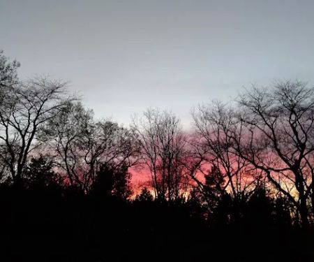 Shade Tree Country RV Park