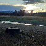 Sheep Bridge extension