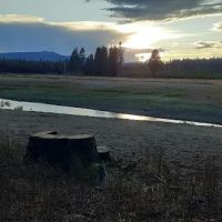 Sheep Bridge extension ico