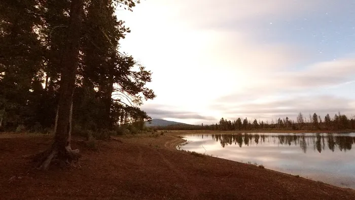 Sheep Bridge extension Picture 6