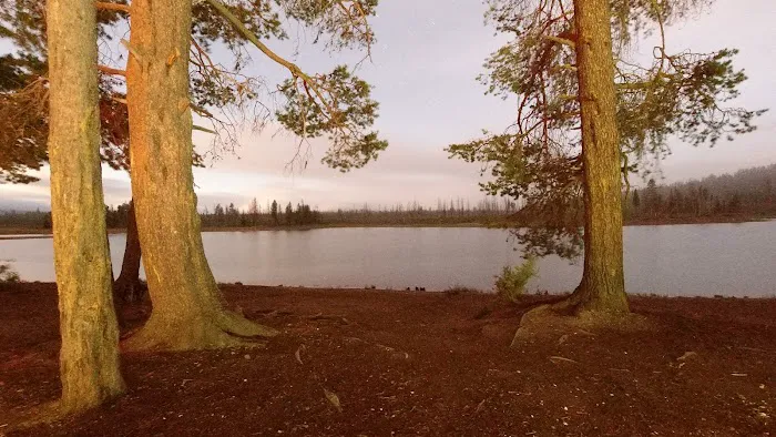 Sheep Bridge extension Picture 8