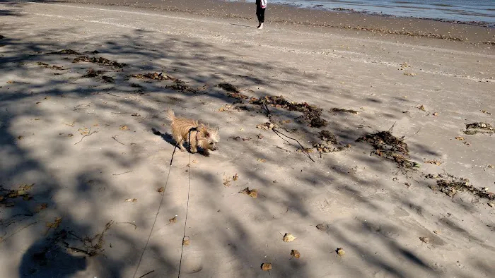 North Shore Estates Mobile Home Park & Marina Picture 6