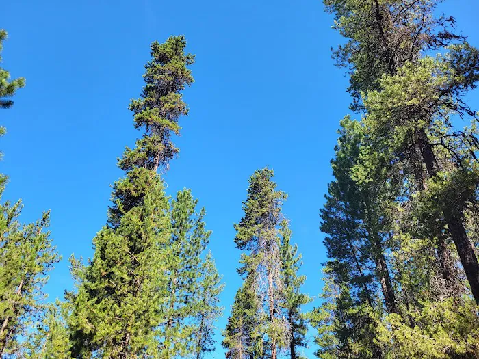 West South Twin Campground Picture 3