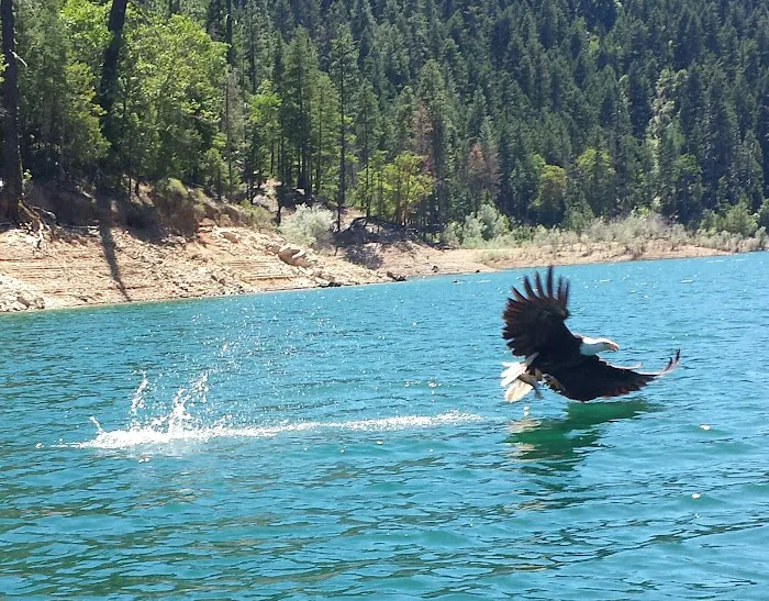 West South Twin Campground Picture 10