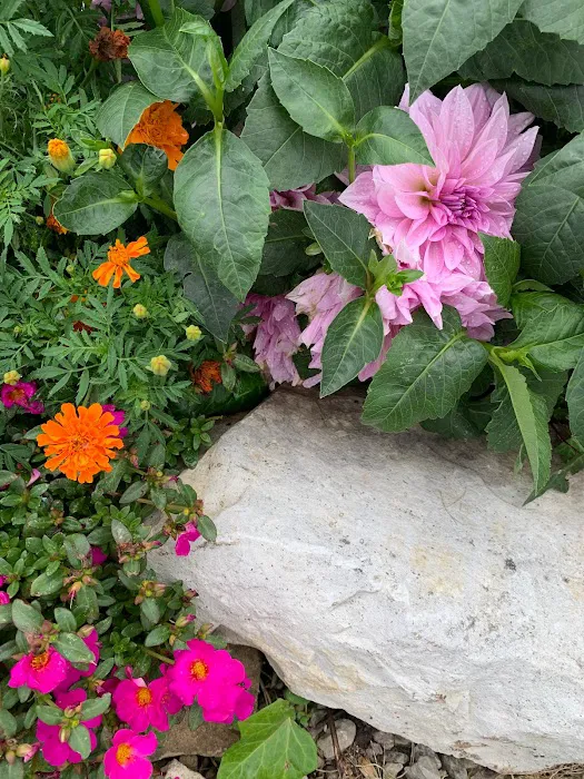 Rocky Point RV Park and Marina Picture 9