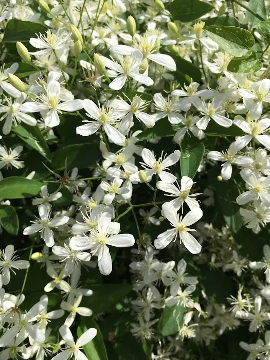 Rocky Point RV Park and Marina Picture 5