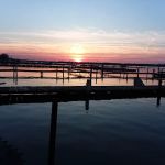 Harbor Winds Trailer Park