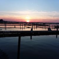 Harbor Winds Trailer Park ico