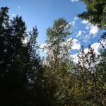 Sand Prairie Campground