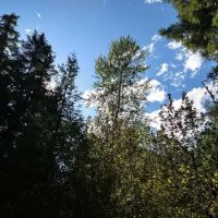 Sand Prairie Campground ico