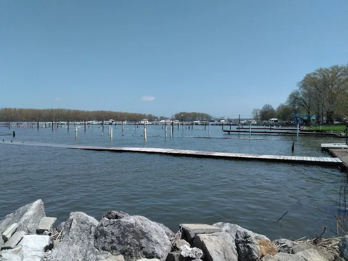 Shady Shores RV Park Picture 7