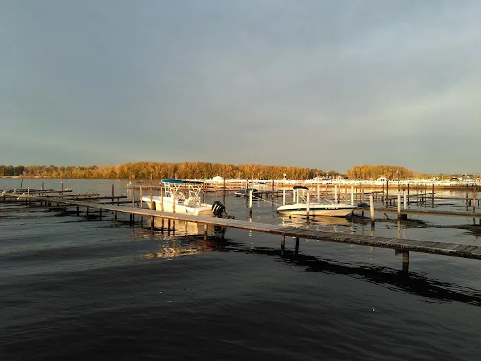 Shady Shores RV Park Picture 4