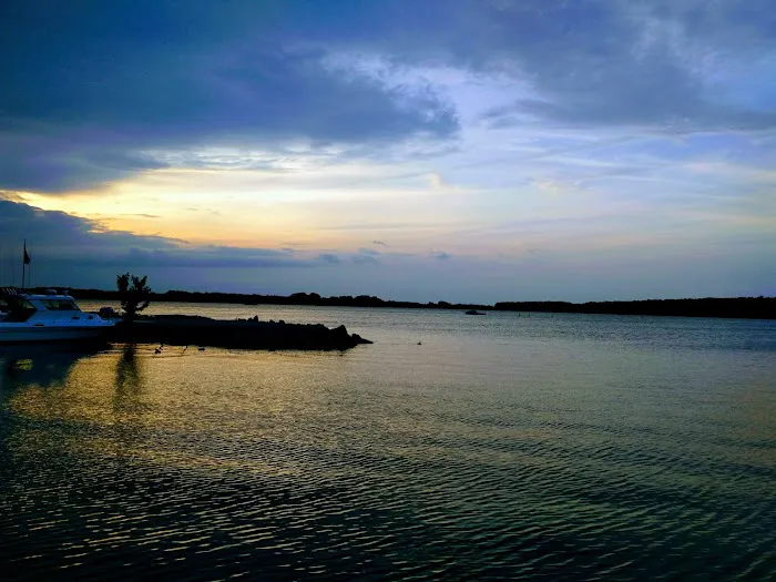 Shady Shores RV Park Picture 9