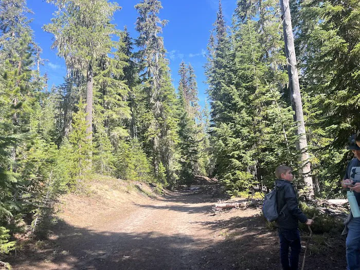 Bechtel Shelter Picture 6