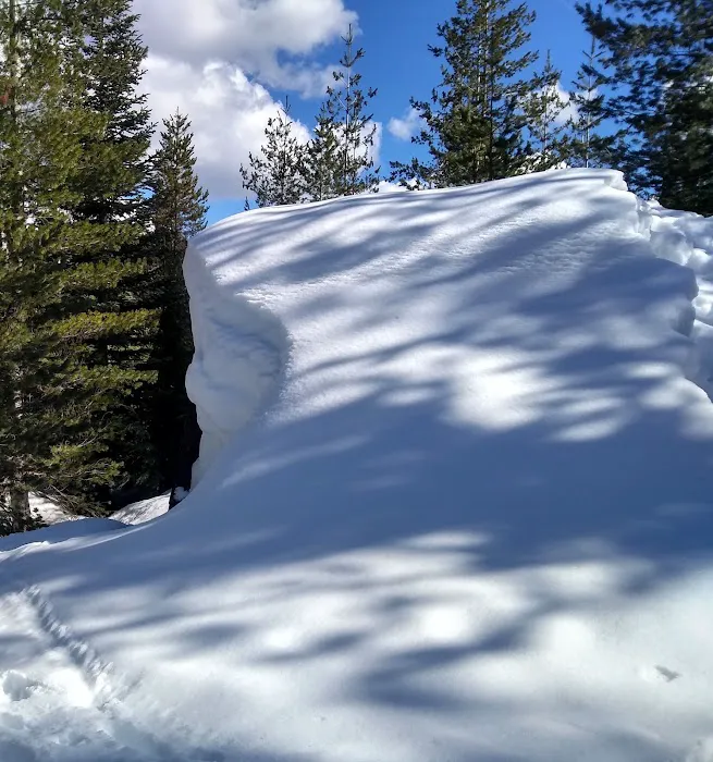 Bechtel Shelter Picture 3