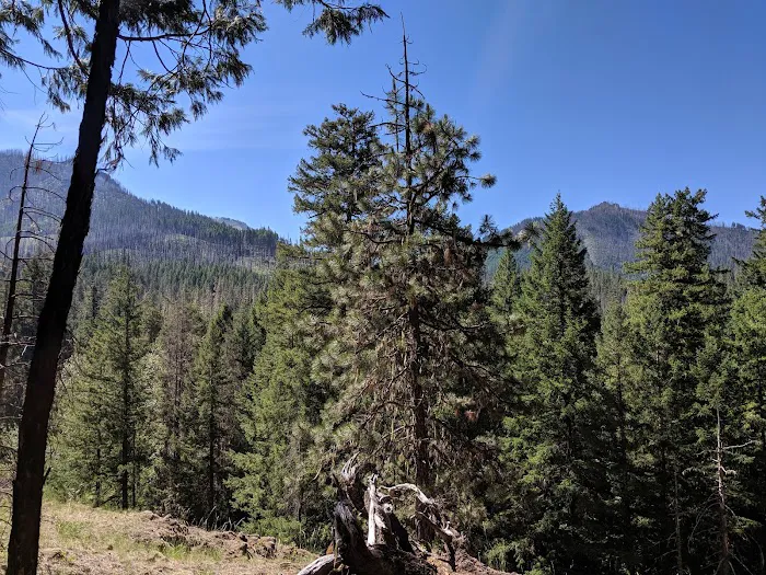 Sacandaga Campground Picture 4