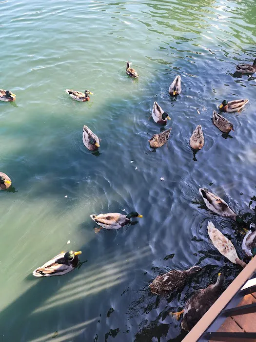 Pines and Quaker Mobile Home Park Picture 8