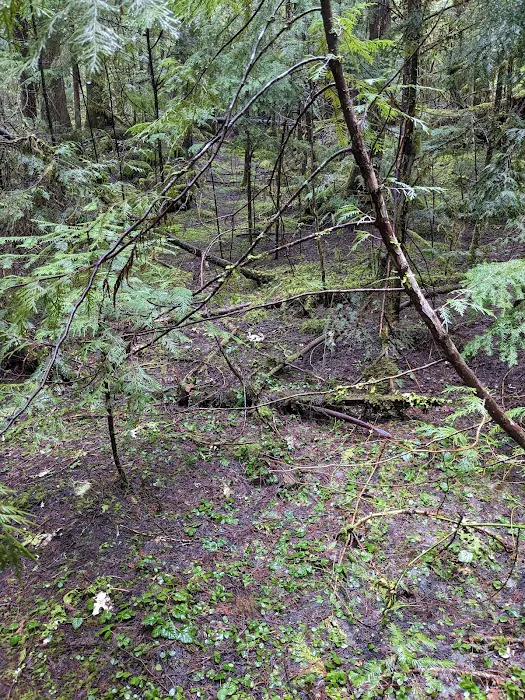 Indigo Springs Campground Picture 7