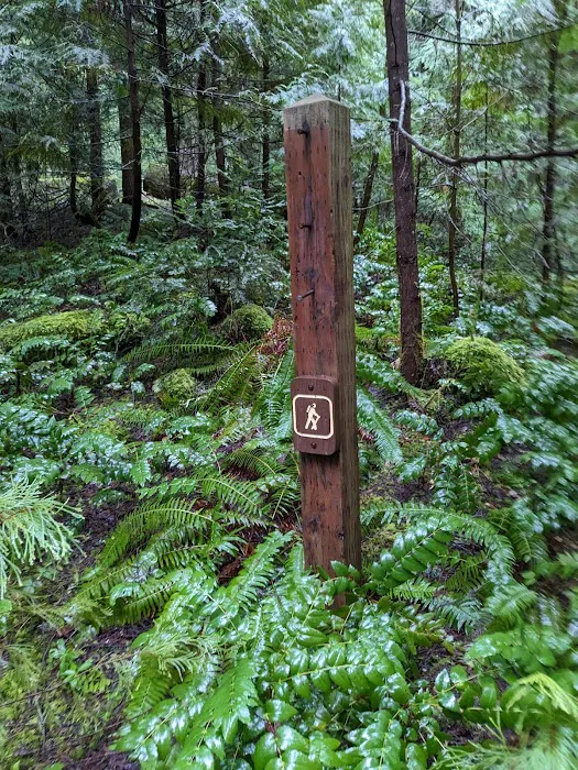 Indigo Springs Campground Picture 2