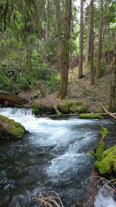 Indigo Springs Campground Picture 9