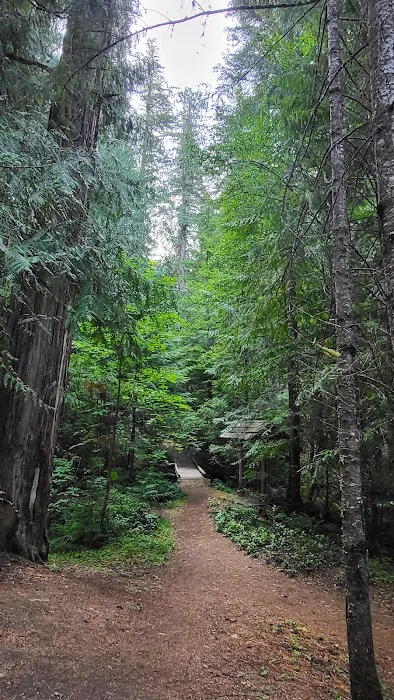 Indigo Springs Campground Picture 10