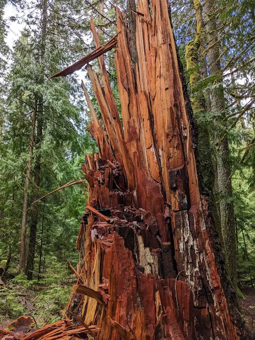 Indigo Springs Campground Picture 8